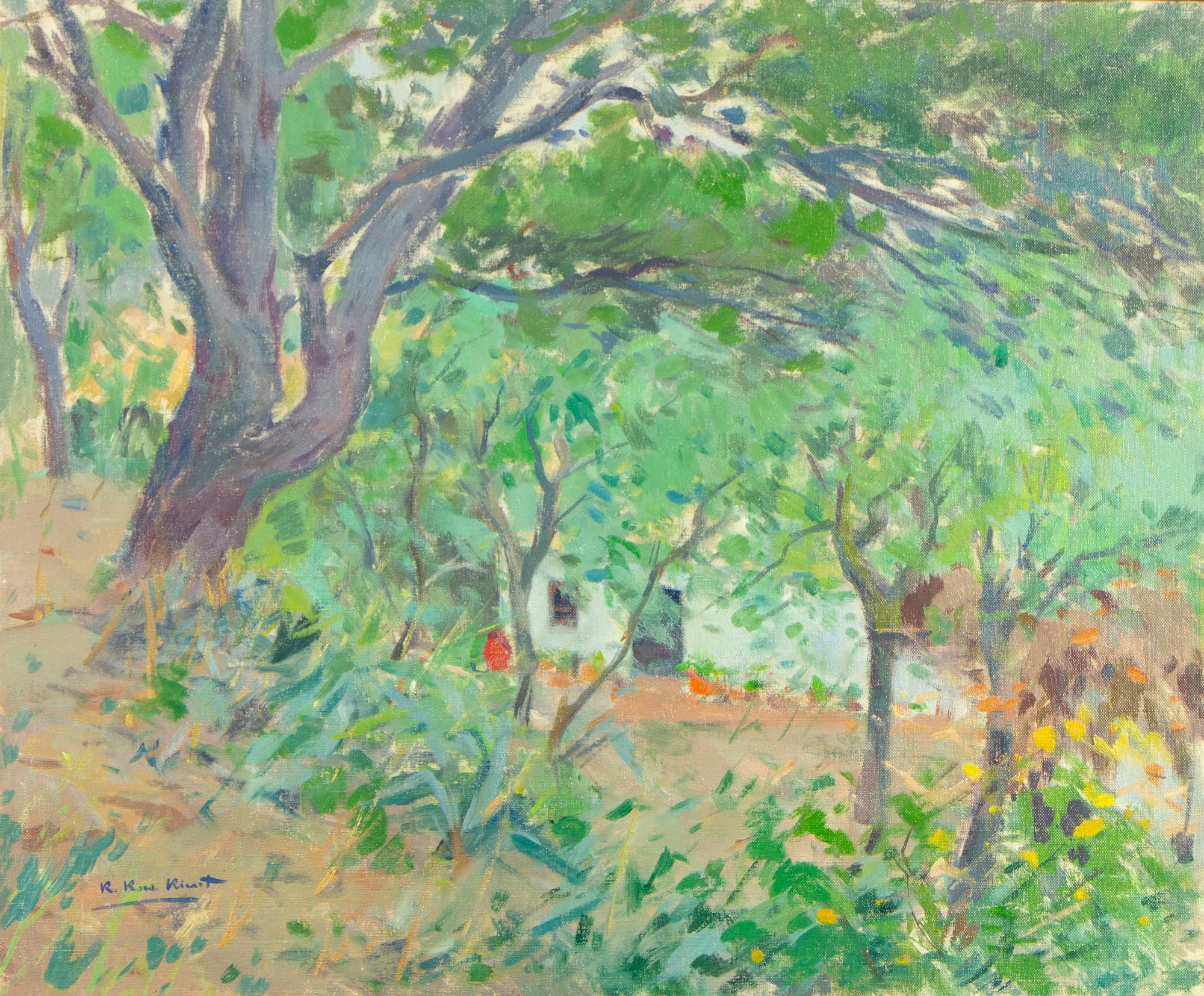 "Pino y acacias" 1951